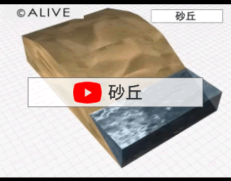 砂丘