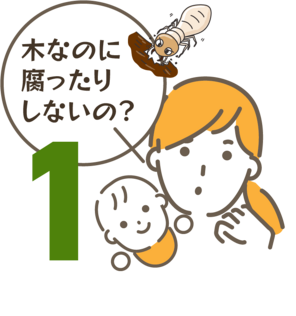 木なのに 腐ったり しないの?